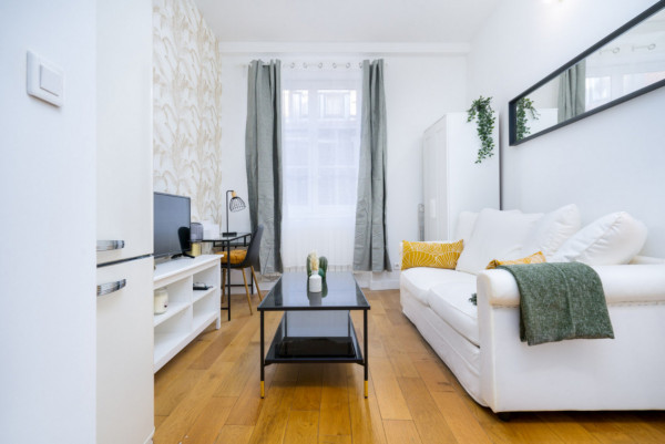 lyon/1er-arrondissement/investissement-beau-studio-meuble-decore