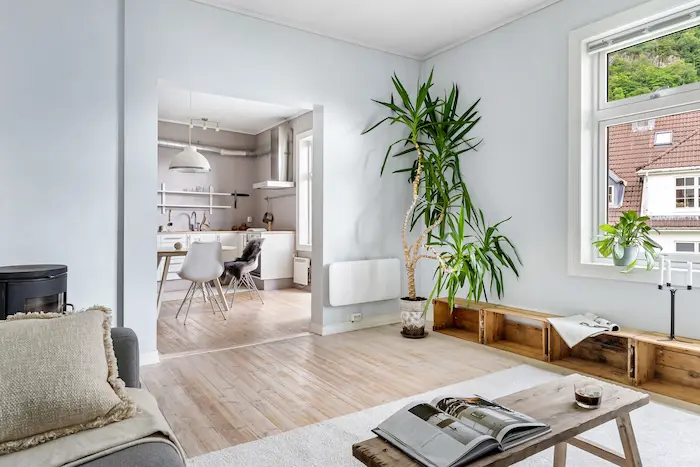 Séjour moderne avec table basse en bois et plante verte, symbole d’un logement bien-meublé et harmonieux.